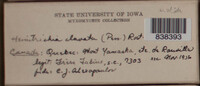 Image Associated With the Occurence